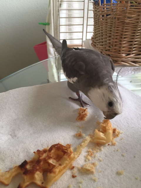 That's right, back away slowly....