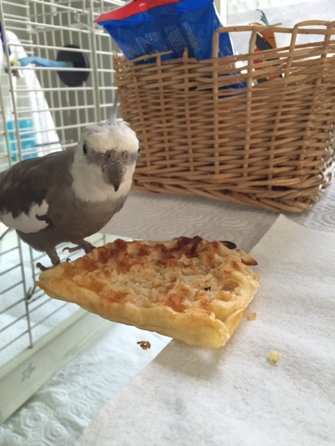 Mom? Remember the talk we had about personal space? 