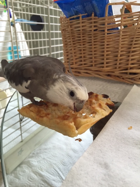 I'll add one of my classic glares for good measure.