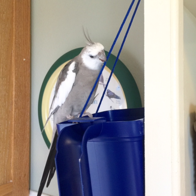 Really quite sturdy....