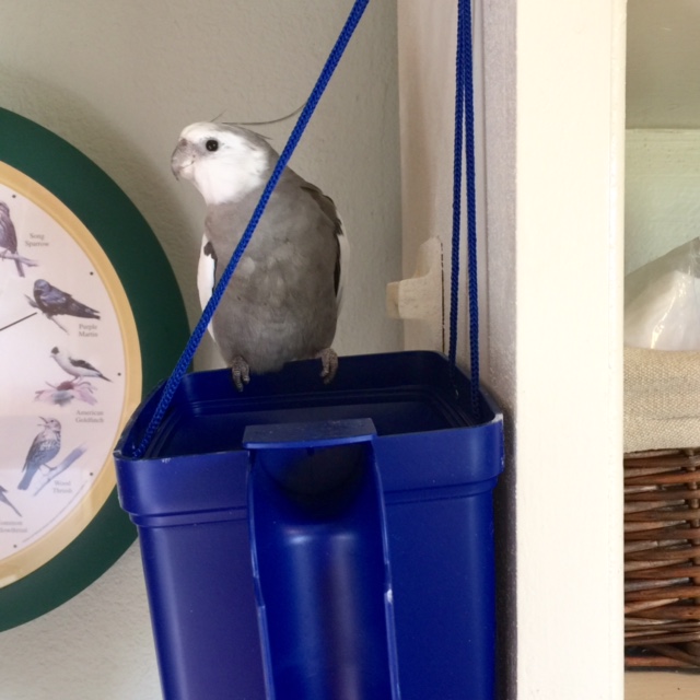 What do you mean - "of course the cables are secure?"  