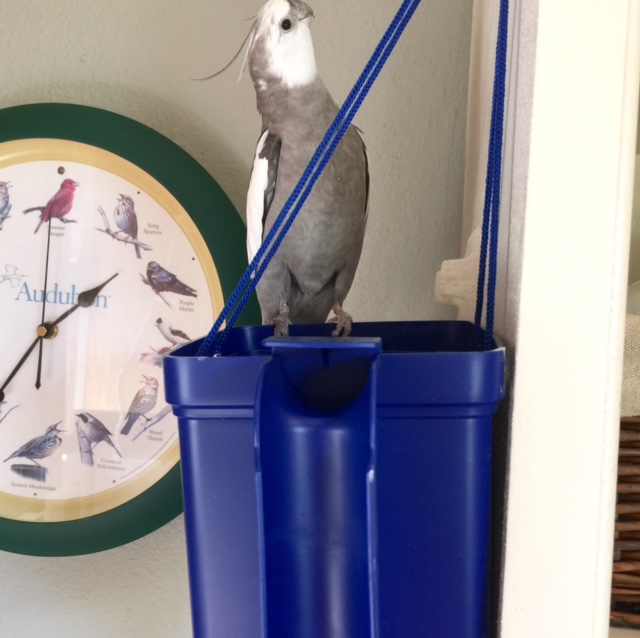 And everything looks secure at the top, too.