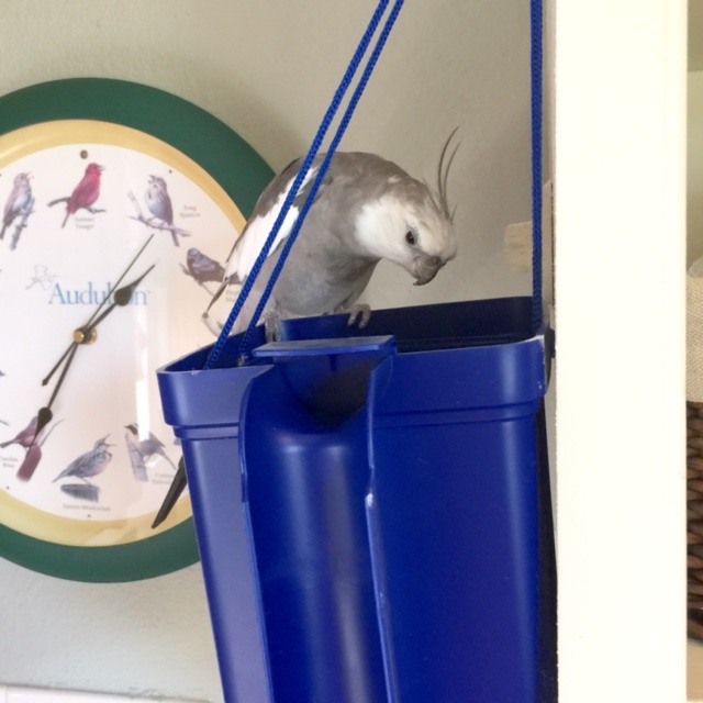 Although I have to say, the "water" part appears to be missing.