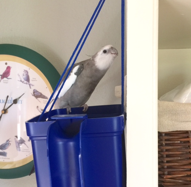 These cables seem to be equally sturdy.