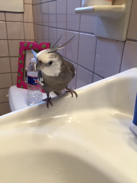 You know, you are marvelously rectangular. I  can appreciate the sleekness of your lines.