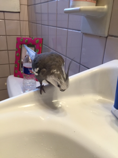 Thirsty? Well, I am a bit thirsty!