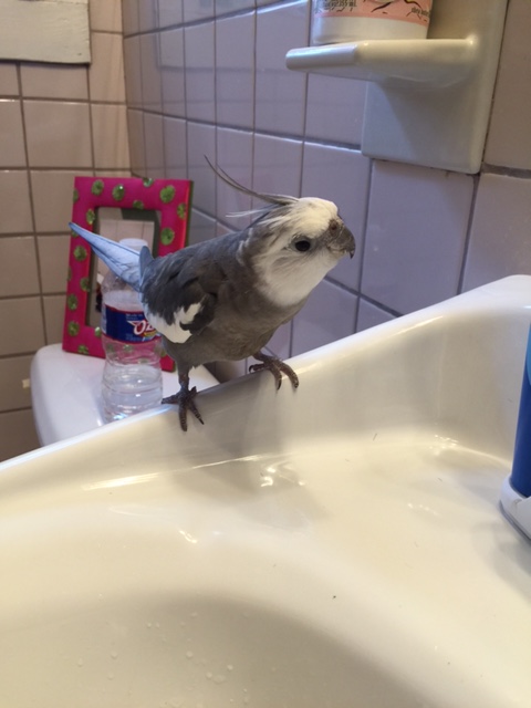 Well hi there! I don't think we've met! 