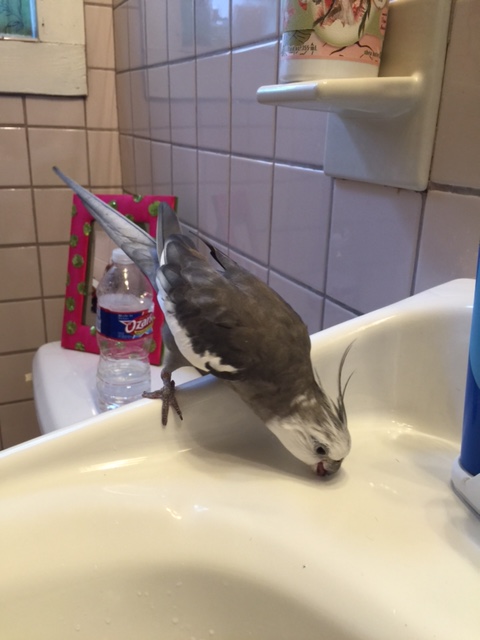 Yes, I would love a drink - how kind of you!