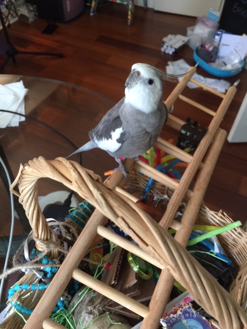 Ready, ready, ready, ready, ready....