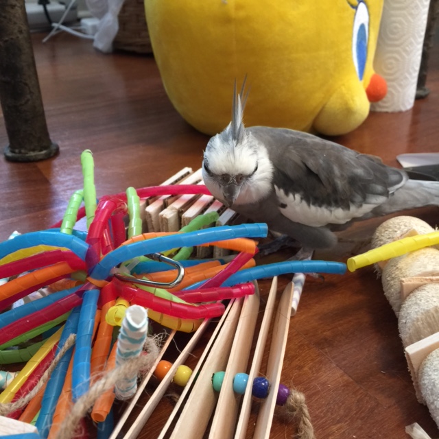 Hmmmm.....where to begin, where to begin....