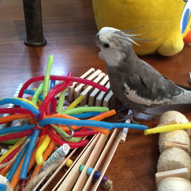 You want to be greeted next? What's your name?