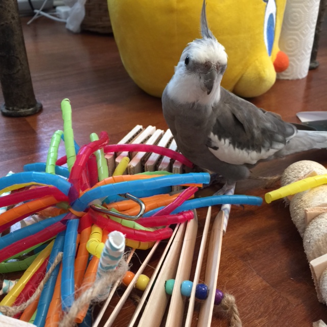 Wait, what am I saying....of course it is all for me!