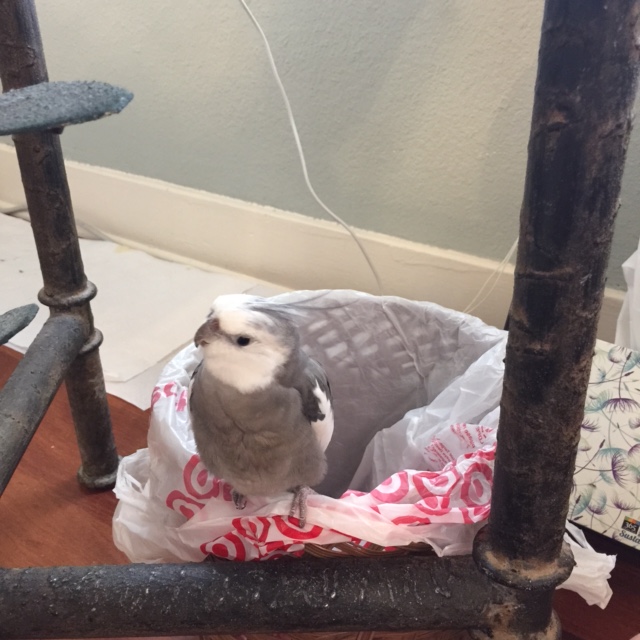 He concludes this portion of the security scan with a fierce glare (when all else fails, glaring fiercely will send unsavory types running for cover).