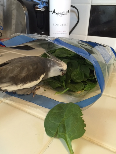 "Now" would be a great time to vacate, yes!