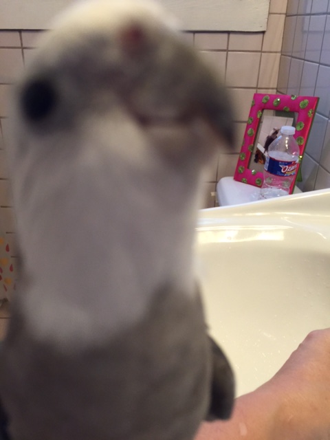 See this - this is perfect!