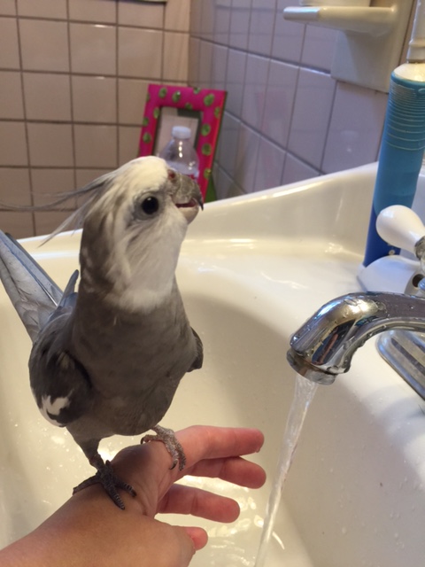 This will be your first photo shoot? Ohhhh.....well, okay, we'll make it work - don't worry!