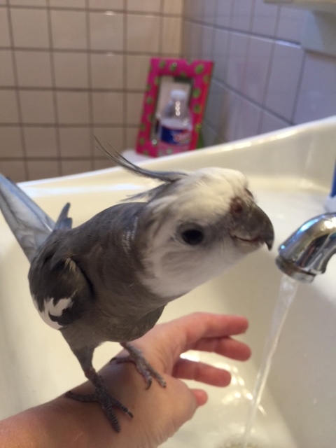 See - grey on grey, and white on white!