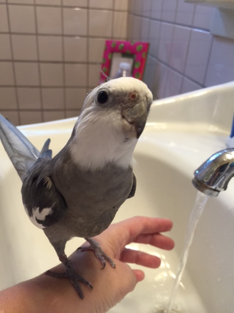 So just make sure I am front and center in every shot you take, okay?