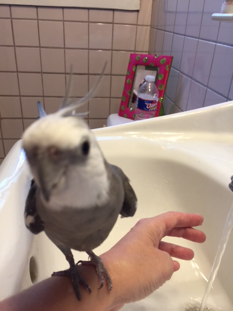 Mom...MOM.....over here!