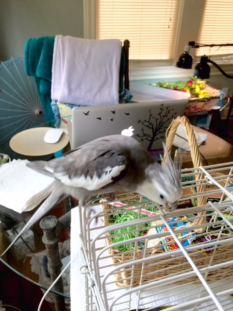 Yes. Right here. Right in this exact spot where my two cute pink feet are right now.