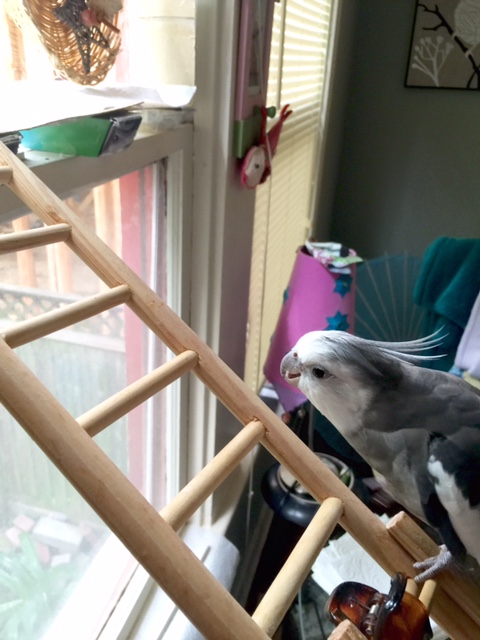 Way to go, Mom - you guessed it! (and about time too).