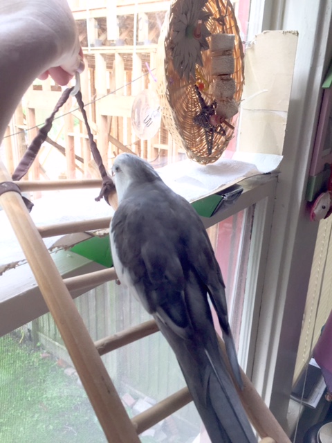 That's right, Mom, hook it just up there....