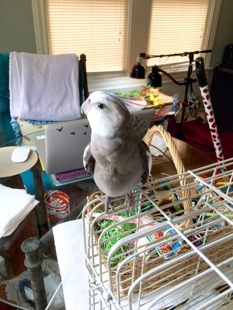 Yes, Mom - that's right - that ledge right up there!