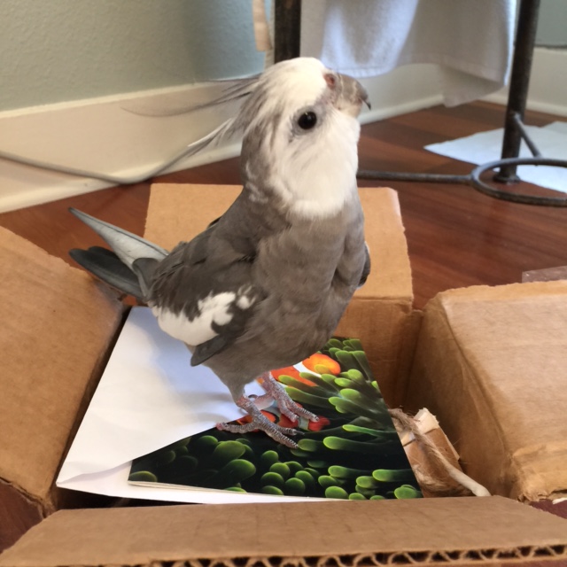 We can start with a picture of me looking very cute.