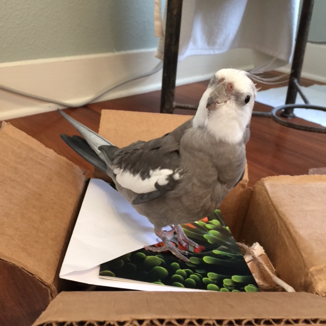 And then we can finish with a picture of me looking exceptionally cute.