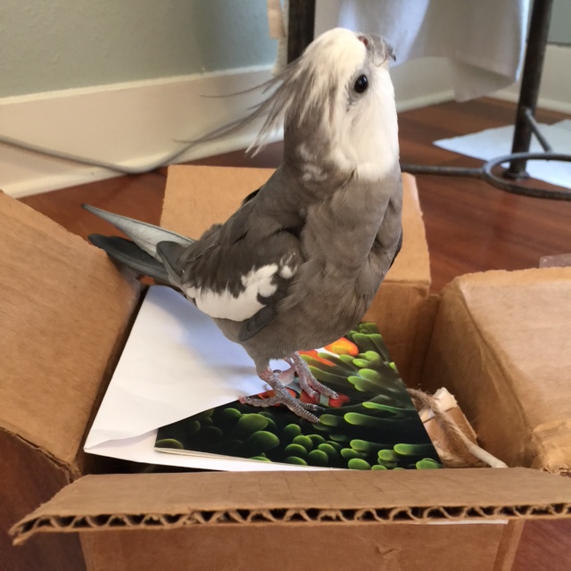 And another picture where I really ramp up the cuteness....