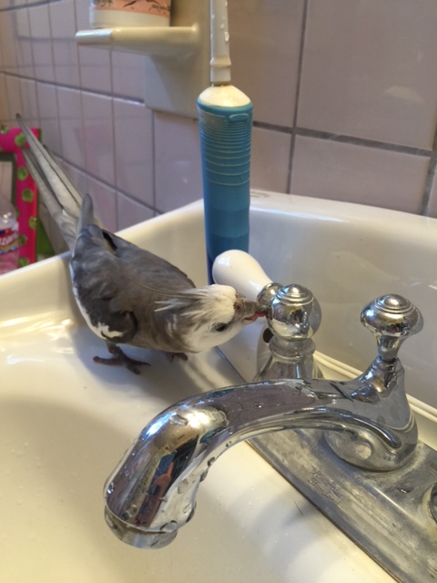 Why I'd be delighted!