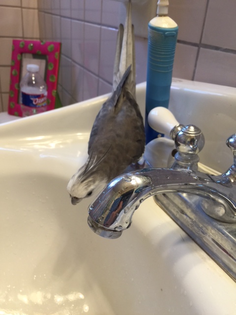 Swimming? No - swimming isn't really my sport - you go ahead.