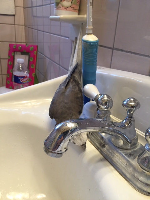 I'll bet swimming in you is very secure, though - you certainly do have the highest quality grout sealing! And it has a nice flavor too....