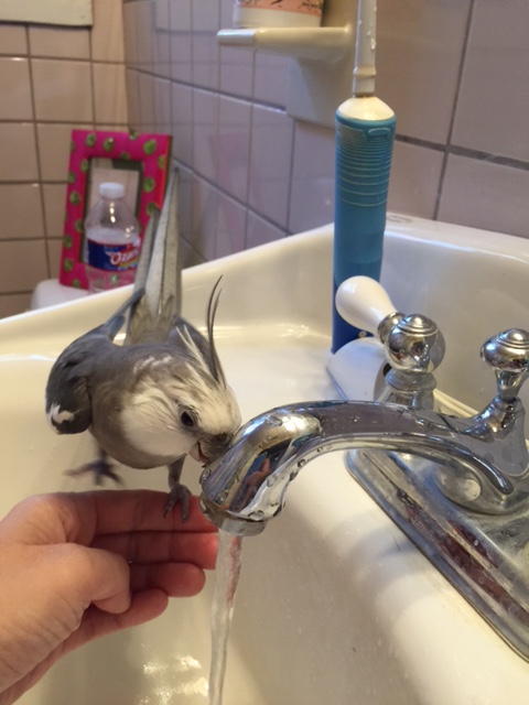 Well, looks like my ride is here....