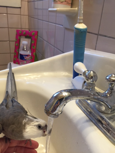 I would be glad to take one last "drink for the road" - see you soon!