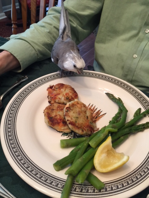 Wow! The Small Chef outdid herself this time! It all looks so good!