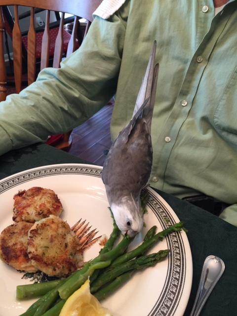 And he never rushes me through my turn.