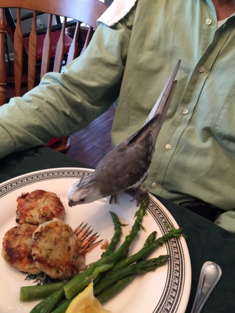 Best of all, if I really like something, he always lets me have the leftovers.