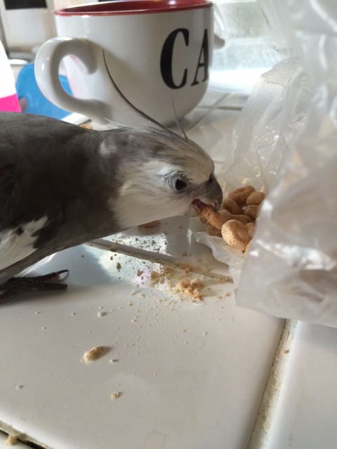 I'll just dig right in.