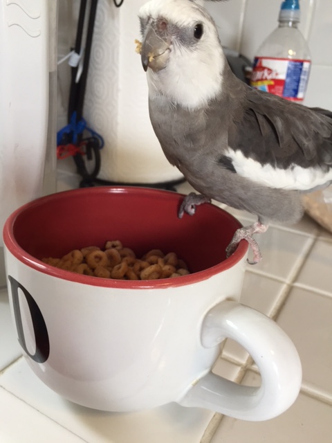 First I will look to the left....