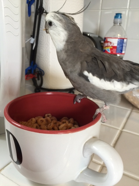 And then to the right....