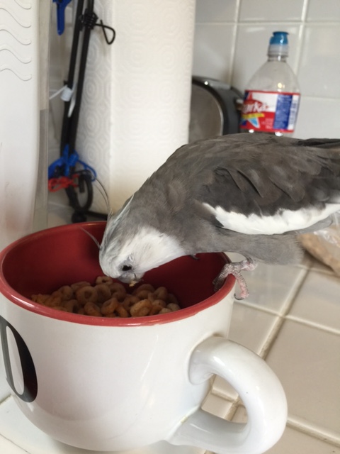 Time for some evasive maneuvers.