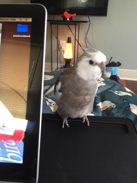 Okay, okay, Mom. Why don't you take a turn on the silver glowing thing?