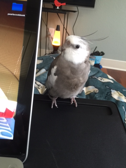 I'll just stay right here in case you get stuck and need any help using it.