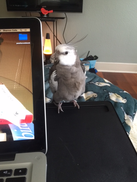 What do you mean you're still not finished? That had to be at least 5 full minutes!