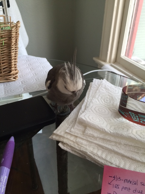 Why don't you ask these white things to move instead? They've been hogging this space all day!