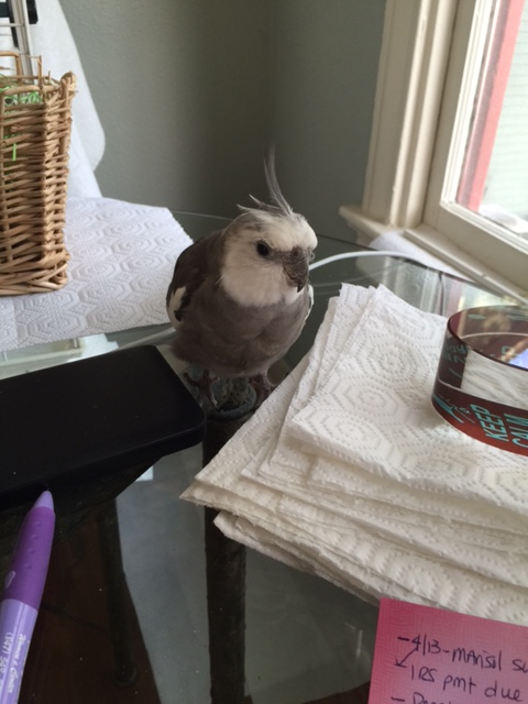 It's not that kind of "backing up?" Well why didn't you just say so.