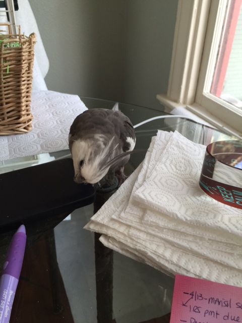 Okay, I'll tell it. Hey you - BACK UP NOW.