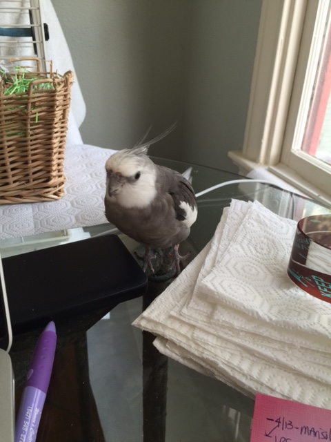 Look, we can do this the easy way or the hard way....