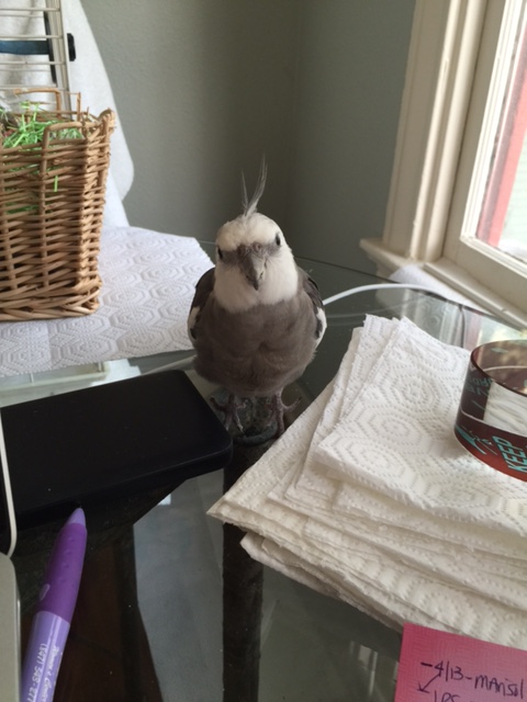 What do you mean it's time to back up? I'm fine right here.